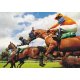 Fotomural Horse Race With Hurdles FT-0381