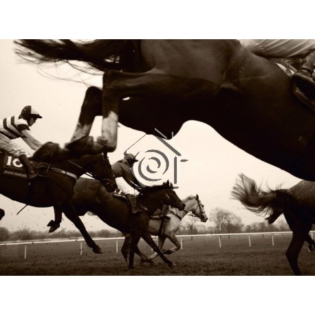 Fotomural Horserace FT-0139