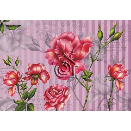 Fotomural Roses On Pink FT-0380