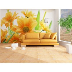 Decoración con Fotomural Sunny Day FT-0138