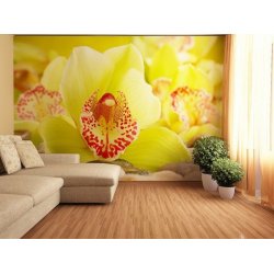 Decoración con Fotomural Yellow Orchid FT-0153