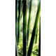 Fotomural Bamboo FT-0214