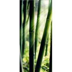 Fotomural Bamboo FT-0214