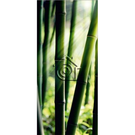Fotomural Bamboo FT-0214
