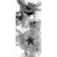 Fotomural Black And White Flowers FT-0221