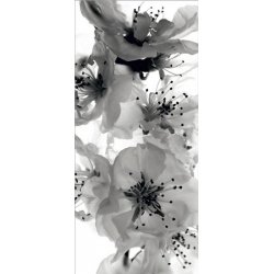 Fotomural Black And White Flowers FT-0221