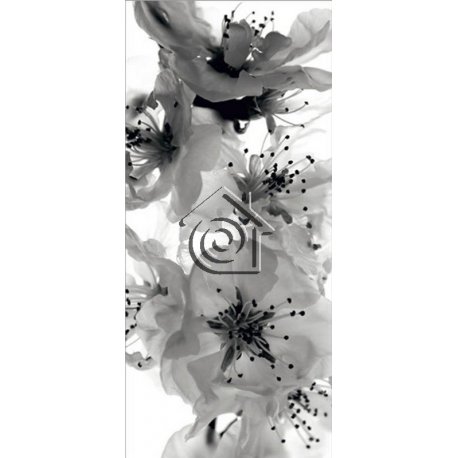 Fotomural Black And White Flowers FT-0221