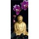 Fotomural Budda FT-0005