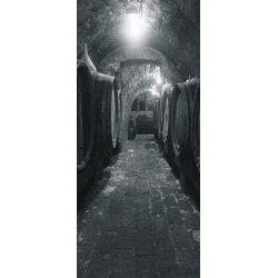 Fotomural Cellar FT-0294