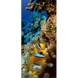 Fotomural Coral Reef FT-0223