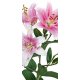Fotomural Pink Lily FT-0213