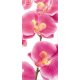 Fotomural Pink Orchid FT-0027