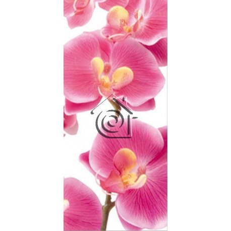 Fotomural Pink Orchid FT-0027