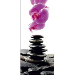 Fotomural Stones And Orchid FT-0215