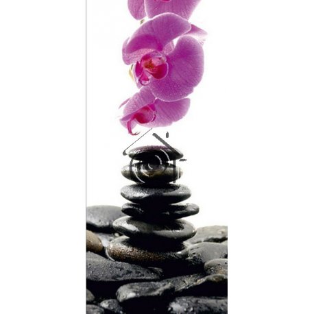 Fotomural Stones And Orchid FT-0215