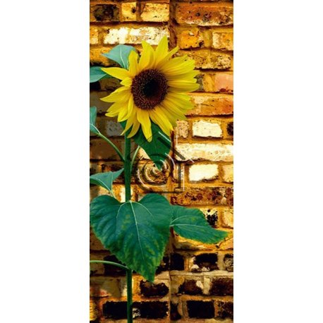 Fotomural Sunflower On Bricks FT-0042