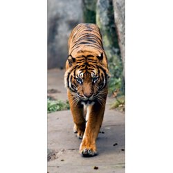 Fotomural Tiger FT-0001