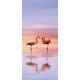Fotomural Flamingo FTV1527