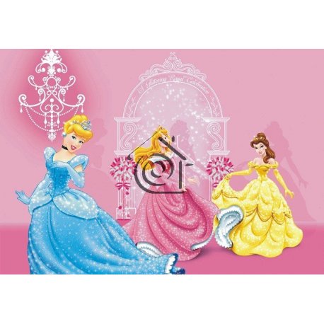 Fotomural Princesses In Pink Castle FTD-0286