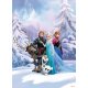 Fotomural Frozen Winterland 4-498