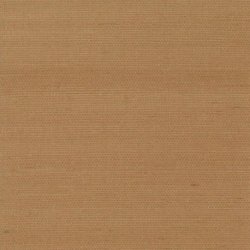 Papel Pintado Grasscloth II VG4401