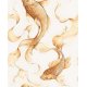 Papel Pintado Koi AI40610