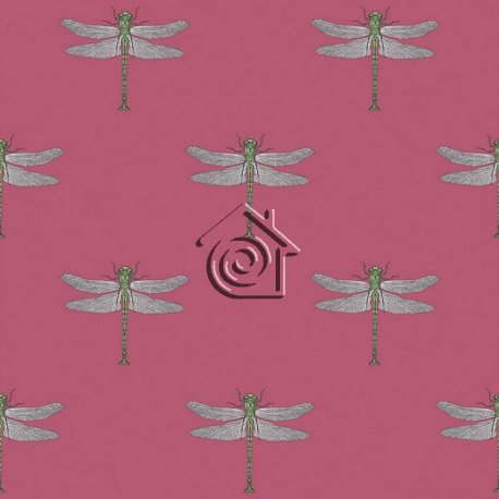Papel Pintado Tortuga TA20301
