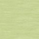 Papel Pintado Tortuga TA21704