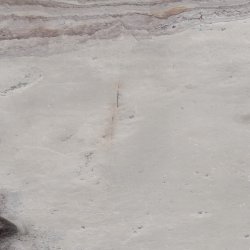 Sanjayani White SN Piedra Flexible PF