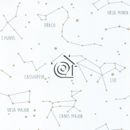 Papel Pintado Our Planet 101917125
