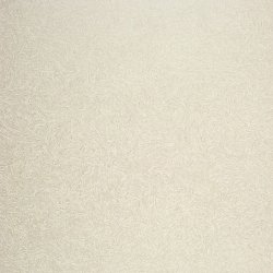 Papel Pintado Exception EXC25270121