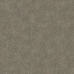 Papel Pintado Woods 26219128