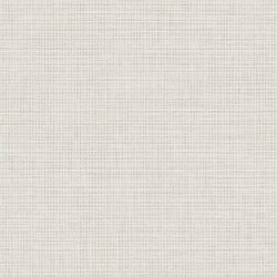 Papel Pintado Graphite RM90907