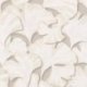 Papel Pintado Ginkgo 86241212