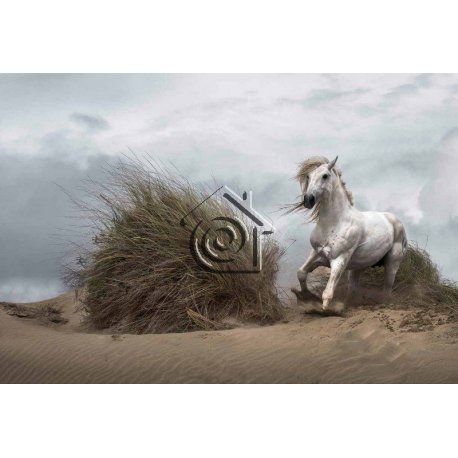 Fotomural White Wild Horse CW15086-8