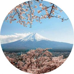 Fotomural Mount Fuji in Japan CW15492-R
