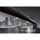 Fotomural Brooklyn Bridge NY CW15409-8