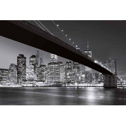 Fotomural Brooklyn Bridge NY CW15409-8