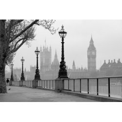 Fotomural London Fog CW15411-8