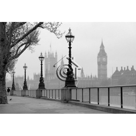 Fotomural London Fog CW15411-8
