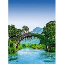 Fotomural Bridge Crosses A River In China CW15031-4