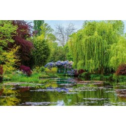 Fotomural Monet's Garden In France CW15035-8