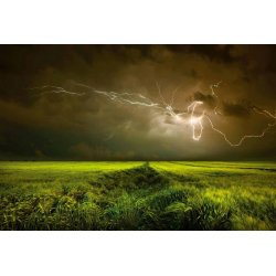 Fotomural Lightning and Thunder CW15098-8