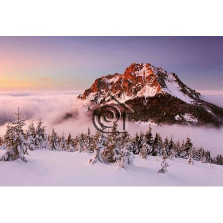Fotomural Snowy Mountain Peak CW15131-8