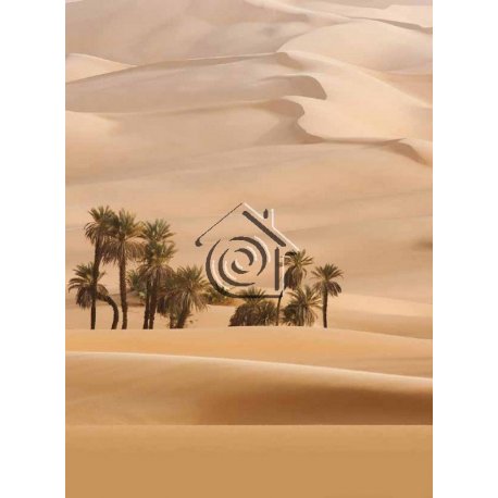 Fotomural Dune CW15458-4