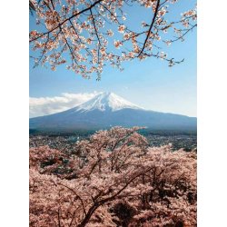 Fotomural Mount Fuji in Japan CW15492-4