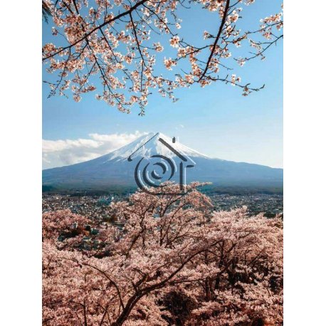 Fotomural Mount Fuji in Japan CW15492-4