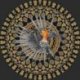 Fotomural Circle Of Life TD4202