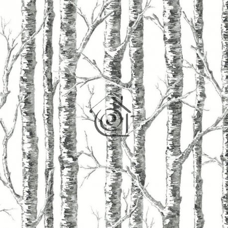 Papel Pintado Black & White BW3902