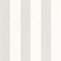 Papel Pintado Basics 104049090